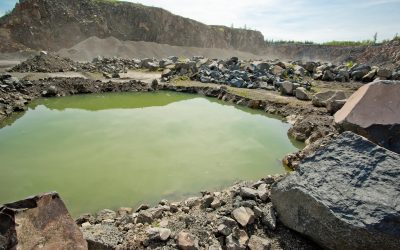 Ungeahnte Biodiversität